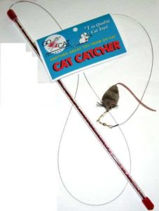 Cat_Catcher_Website