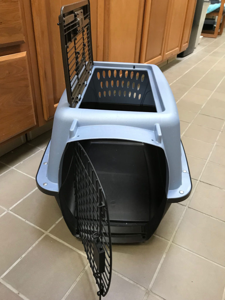 Getting Your Cat Into a Carrier Stress Free Pawsitive Potential